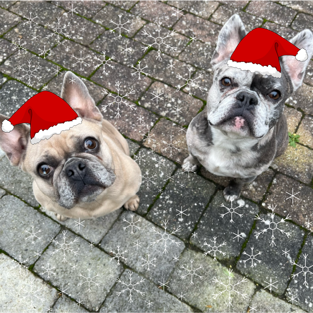 Julehunde